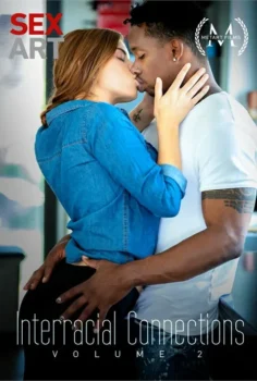 Interracial Connections Vol. 1