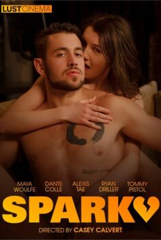 HAYATININ AŞKINI ARAYAN KIZ